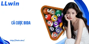 Cá Cược Bida: Chỉ Dẫn Soi Kèo Và Các Thể Loại Chính