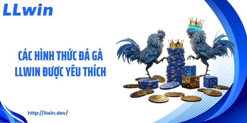 Các hình thức đá gà LLWIN được yêu thích