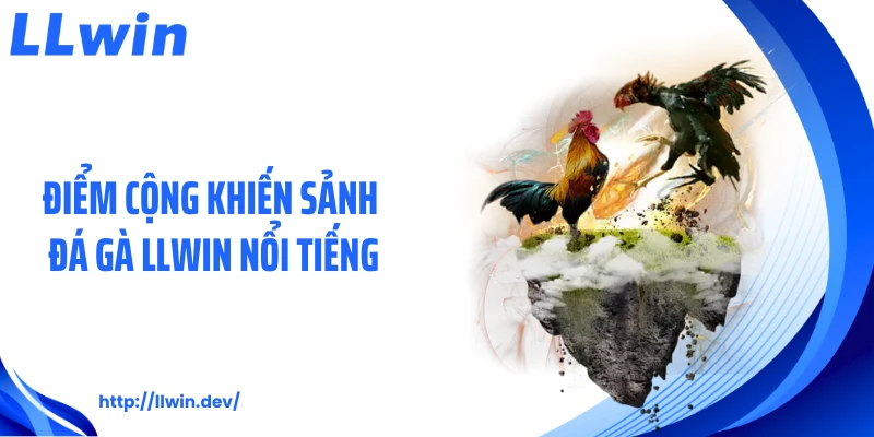 Điểm cộng khiến sảnh đá gà LLWIN nổi tiếng