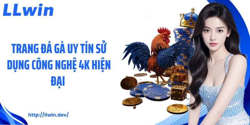 Trang đá gà uy tín sử dụng công nghệ 4K hiện đại 